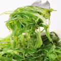 frozen seasoned seaweed salad--sushi material